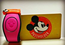 Season Pass for Disneyland: Refunds, Extensions, Future, and Impact Season Pass for Disneyland