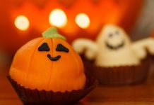 Animals in Disney World Celebrate Halloween With Treats