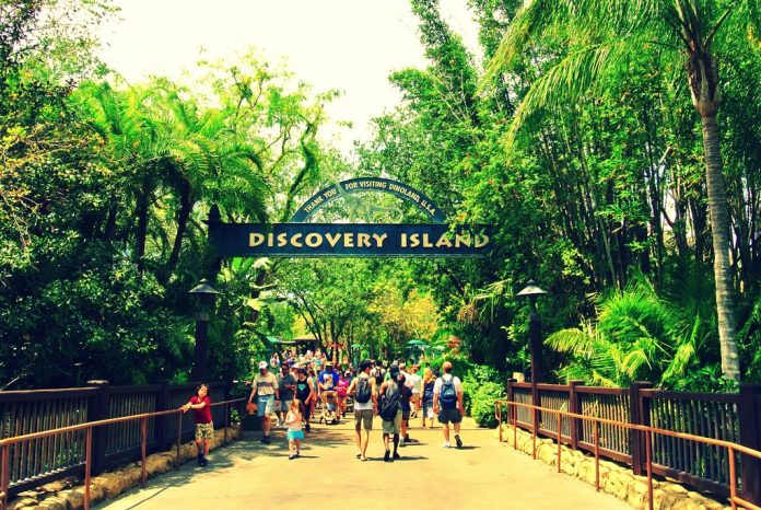 Discovery Island trails