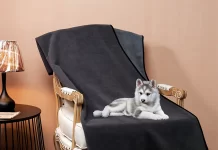 5 REASONS WHY CUSTOM DOG BLANKETS ARE POPULAR!