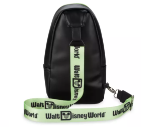 Best backpack for Disney