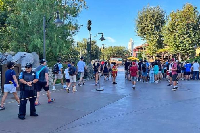 What is Rope Drop at Disney 2